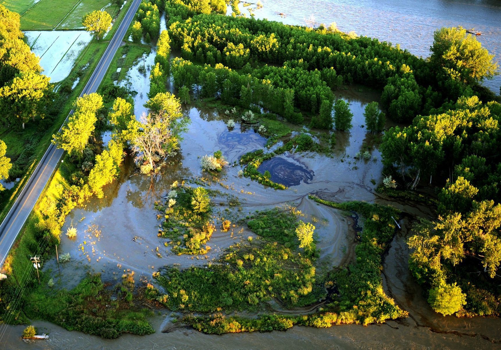 Yellowstone River woes include oil spills, frogs, parasites